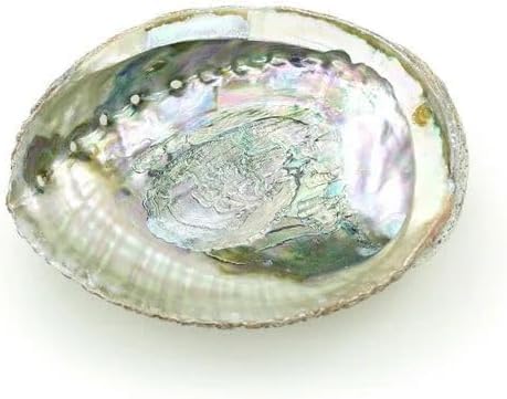 1 x bunte Abalone-Schale, 10,2 - 11,4 cm, natürliche Verschmierschale für Salbeiverbrennung und Räucherstäbchen, Muschel, zum Verschmieren von Dekoration und Ausstellung, Räucherstäbchenhalter, groß