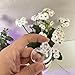 SINGEWOW Transparent Hermit Crab Shells,Size 1.5