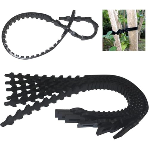 MoSundi Lot de 10 attaches réglables en caoutchouc robuste pour plantes - Compatibles avec les arbustes, les jeunes arbres et les arbres fruitiers - 500 mm