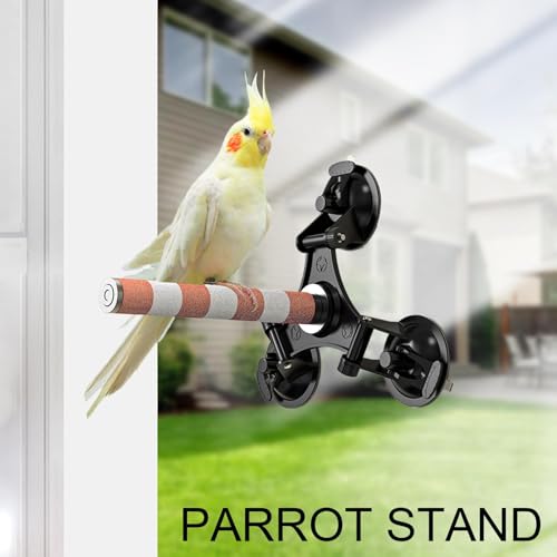Support de fenêtre pour perroquet et perruche - Offrez une vue extérieure à vos oiseaux - 3