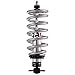 QA1 (GD402-09450) Double Adjustable Pro Coil Kit, Aluminum