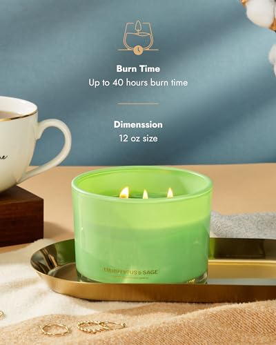 96NORTH-Luxury-Palo-Santo-and-Eucalyptus-Candles-3-Wick-Jar-Candles-Relaxing-Aromatherapy-Aesthetic-Candle 96NORTH Luxury Palo Santo and Eucalyptus Candles 3 Wick Jar Candles Relaxing Aromatherapy Aesthetic Candle