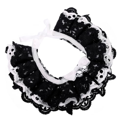 UPKOCH ybgpȃ[X悾ꂩ Q?֕t Lp ʋCǍD  t@bVANZT[ K