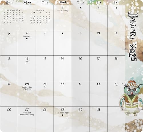 Calendário Owls 2025-2026 - Pacote de planejador de bolso de 2 anos de animais em aquarela de luxo c