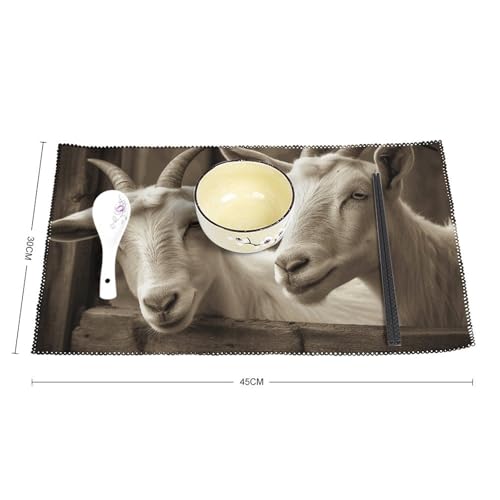 Sets de table lavables lot de 6 pour protéger des assiettes chaudes - 3