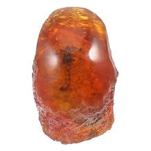 Amber Fossilized Scorpion Specimen Stone Insect Ornament Unique Decorative Specimen