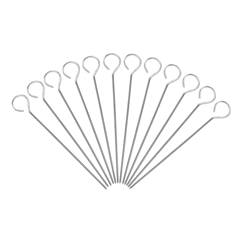 12PCS 8'' para cortar pavo brochetas reutilizables, pinchos brochetas acero inoxidable,Roasting skewers metal, Poultry Grilling Supplies,Brochetas de ganso para cocinar a la barbacoa pinchos bbq(12)