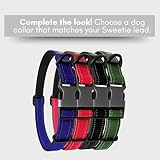 Sweetie Bungee Dog Lead Shock Absorber - Strong Leash 4FT to 5.6FT Long with Soft Padded Handle & Traffic Handle - Reflective Anti Pull Leads for Walking Medium and Large Dogs. Black - Image 9