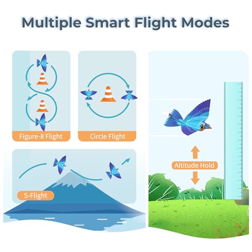 Go Go Bird Bionic RC Bird Toy, Remote Control Flying Bird, Single Flapping-wing Design, 6-axis Gyro, Easy Indoor & Outdoor RC Toys for Kids, Boys and Girls - Kingfisher by Go Go Bird - Image 5