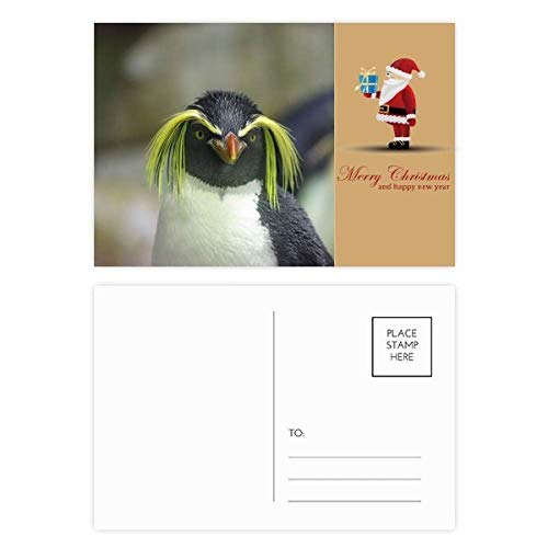 Cartes postales père Noël Sea Science Nature lot de 20 pièces pour correspondances festives