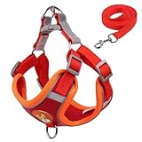 Coleira Peitoral para Cachorros e Gatos, Design Ergonômico, Faixa Reflexiva, Com Guia de Passeio (Vermelho, G)