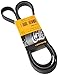 CONTITECH 6PK2080 Keilrippenriemen