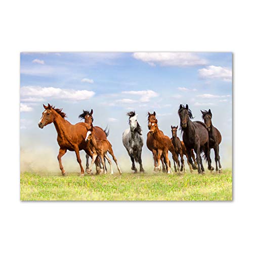 Splashback guard verre trempé 100x70cm fond de hotte animaux brun chevaux