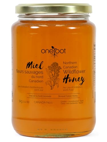 Miel Natural Wildflower OneRoot 1 kg