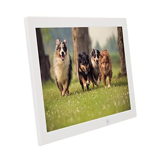 Marco de Fotos Electrónico, Reloj de 100‑240 V con Detección de Cuerpo Humano, Brillo Ajustable para Oficina (Enchufe de la UE)