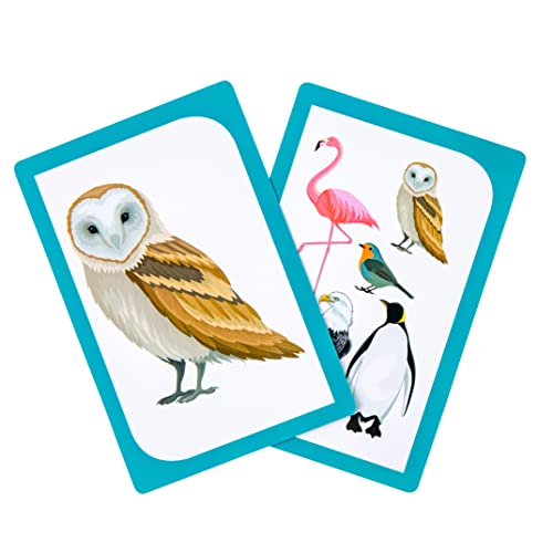 Kibbit Group It- Card Game for Improving Category Recognition and Naming, Speech Therapy Tool, ABA, ESL - Image 6