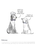 Alpha Edition - A Cat’s Life & A Dog’s Life 2026 – Wendekalender 30×30 cm (30×60 geöffnet) mit Katzen- & Hunde-Cartoons, humorvoller Wandkalender für Tierfreunde mit Illustrationen von Gemma Correll