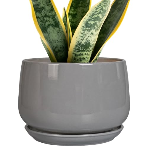 G EPGardening Ceramic Planter 7 Inch, Round, Modern, Gray