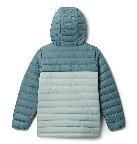 Image of Columbia Kids Powder Lite Hooded Jacket (Little Kids /Big Kids)