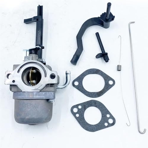 Carburateur souffleuse à neige pour moteurs modèles 591378 699966 699958 - 2