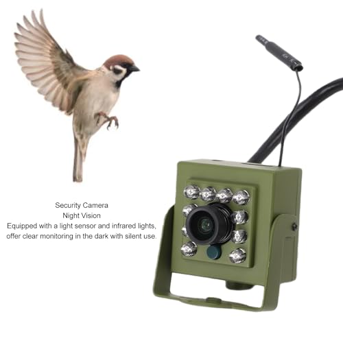 Caméra de Surveillance de la Faune, Caméra de sécurité Intérieure et Extérieure, Caméra de Vision Nocturne pour Nichoir, Caméra Grand Angle WiFi 2,4 GHz avec 10 LED, pour