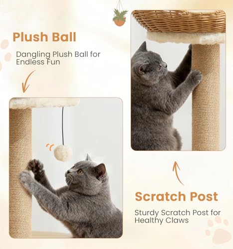 Torre para Gatos Beige con Rascadores y Condominio miniatura 7