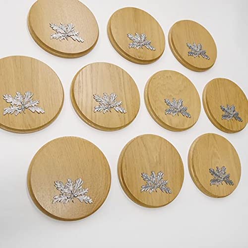 GTK Oferta 10 placas de cuña redondas de roble claro AF 17 cm, tabla cuña, tabla de especias, letrero de trofeos con 10 hojas de roble, portada de 6 hojas