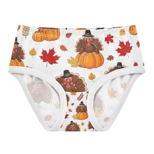 Cartoon Turkeys Hats Pumpkins Toddler Underwear Girls, Girl Underwear, 2T–8 Years