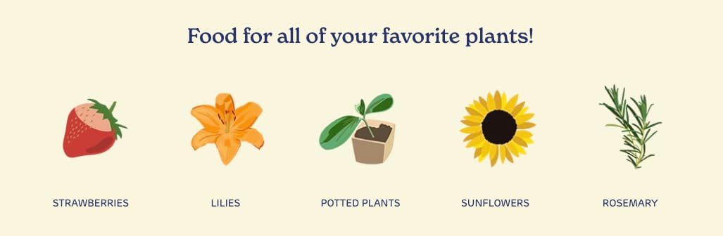 True Organic All Purpose Plant Food – Organic Fertilizer for Fruits, Vegetables, Flowers, and Herbs – 12lb Bag Covers 261 sq. ft.