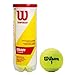 Wilson Champ Extra Duty Pelotas de tenis, tubo con 3 pelotas, para todas las superficies, amarillo