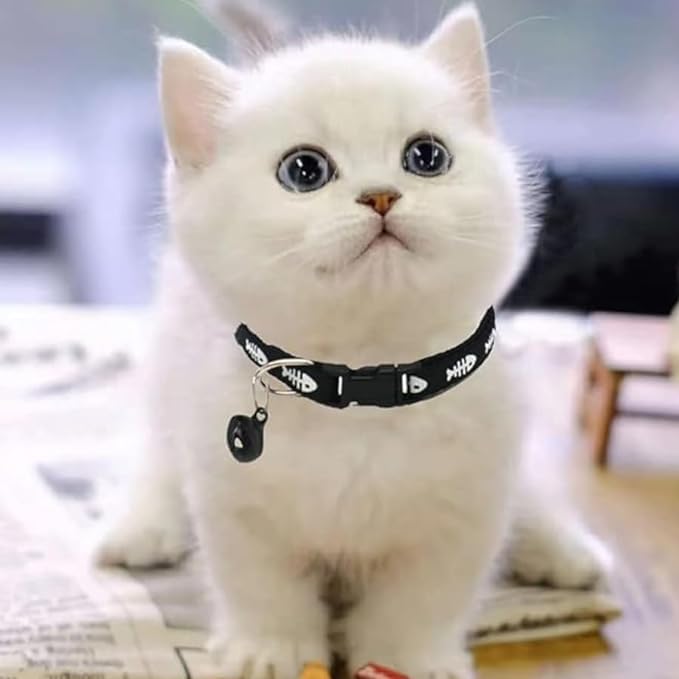 Pups&Pets High-Visibility cat Collar Safety cat Collar with Reflective Strip Nighttime Glow in Dark cat Collar wih Bell Pack of 1 (B0D4MF27QK) Amazon Price History, Amazon Price Tracker
