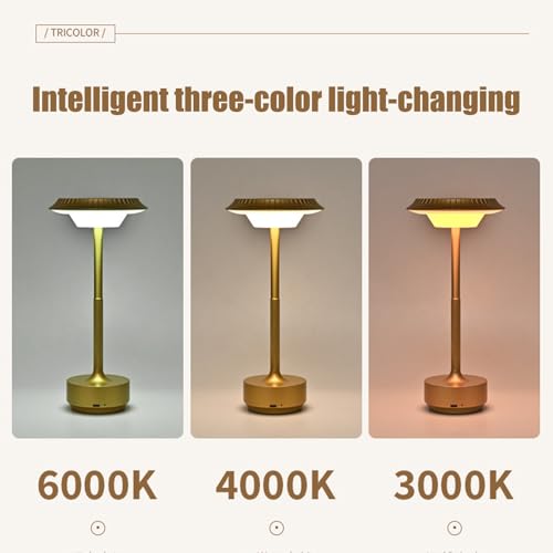 Lampe d'époque rechargeable légère dotée de 3 modes réglables Teksome