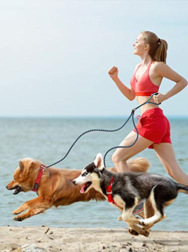 Petbaba Double Dog Leash, Reflective Gear Safety At Night, 4.6Ft Tangle Free Dual Rope Coupler, 2 Way Lead Splitter With Padded Handle, Walk Train Two Big Pet In Brown-Blue #TOP6