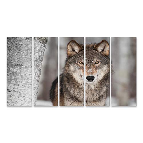 Islandburner Quadro su tela Lupo grigio (Canis