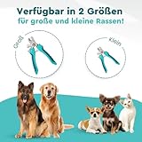 COARO Krallenschere für Hunde und Katzen mit hochwertigem Stopper als Verletzungsschutz - inklusive stabiler Fixierung - Krallenschneider mit professioneller Feile - aus robustem Edelstahl (S)