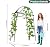 Garden Arch Trellis for Climbing Plants Outdoor - (Black, 81x36x32in) Cucumber Trellis for Raised Bed with Net, Garden Trellis for Climbing Plants, Cucumber, Vegetable, Tomato, Flowers 20mm Thick