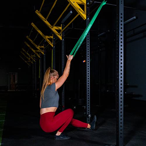 Image of SERIOUS STEEL FITNESS Assisted 41 inch Pull-Up Band, Resistance & Stretch, Powerlifting & Pull-up Assist Loop (Single Band)