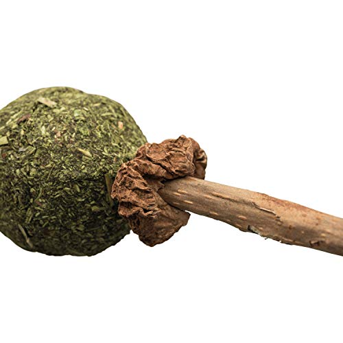Image of Trixie Cat Toy, Matatabi Lolly, 27 Gram (42430)