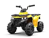 Este vehículo, con batería de 6V 4.5Ah, cumple con todas las característias apropiadas para ser manejado por niños de edades tempranas: 1 motor 14W y acelerador en el pie.
