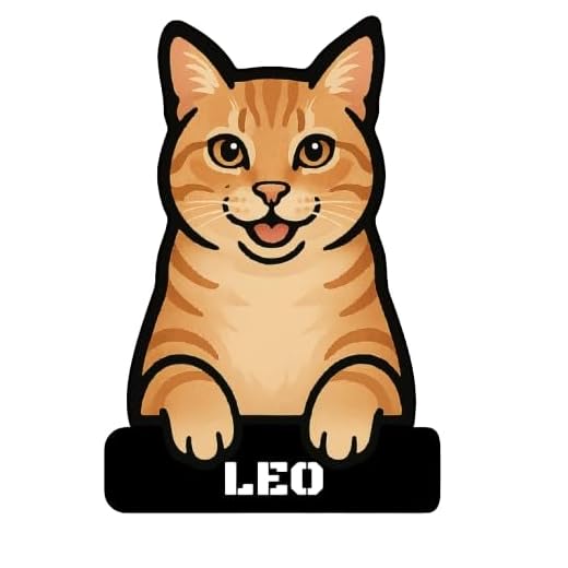 Personalized Orange Tabby Cat Name Sign