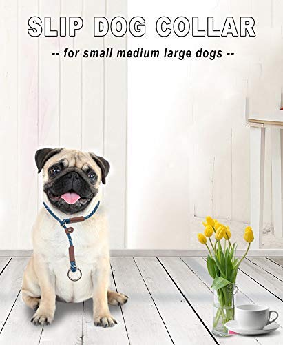 Yucforen Dog Slip Collar, Round Nylon Chock Training Collar No-Pull P Collar With Sliding Stopper,1/3 By 20-Inch,1/2 By 24-Inch #TOP7