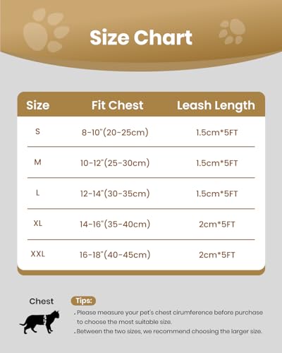 Cat-Harness-and-Leash-Set-for-Walking-Escape-Proof-Kitten-Harness-and-Leash-Adjustable-Small-Large-Cat-Walking-Harness-and-Leash-Lightweight-Soft-Vest-Harness-and-Leash