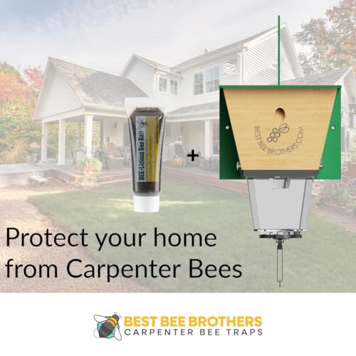 Image of Best Bee Brothers Bee-Licious Bee Bait, All-Natural Carpenter Bee Lure, 10 ml Squeeze Tube (3 Pack)