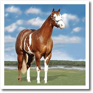 6x6 Iron on Heat Transfer for White Material - Champion Paint Quarter Horse