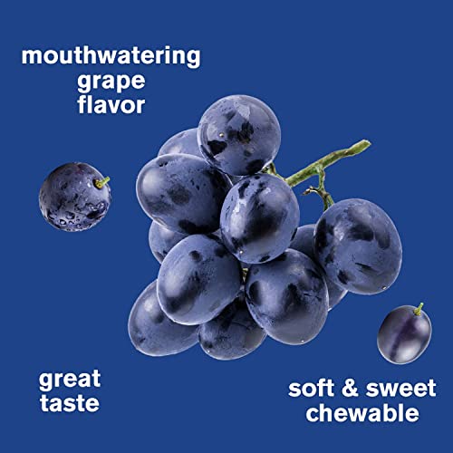 Wellyeah Iron Gummies Vitamin C + Iron Gummies Kids Vitamin C Gummies Bundle - Anemia And Cellular Energy Support, Promotes Red Blood Cell Formation Vegetarian Iron Supplement, Energy & Immune Support #TOP6