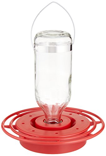 Best 1- 16 oz Hummingbird Feeder