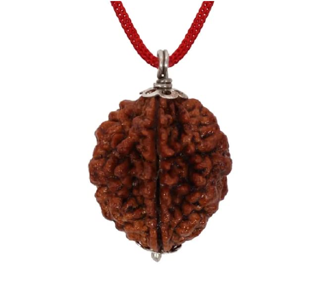 a & s ventures A&S Ventures Rudraksha 2 Mukhi Two Faced Pendant (Brown) Lad Certified And Red Thread-picture-10