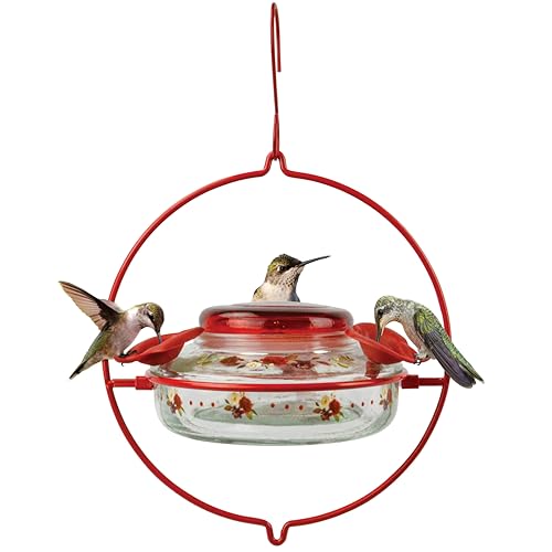 Nature's Way Bird Products Decorative Glass Top-Fill Hummingbird Feeder - Crimson Corsage (DTHF1)