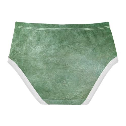 Sport Panties All Seasons Panties Organic Underpants for Toddlers in Sizes 2T,3T, 4T, 5T, 6Y and 8Y2