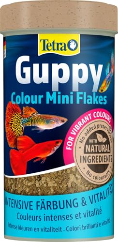 Tetra Guppy Color, Mini Flake Food pour Poissons Tropicaux, 250 ml, Multicolore, 75 g (Lot de 1)